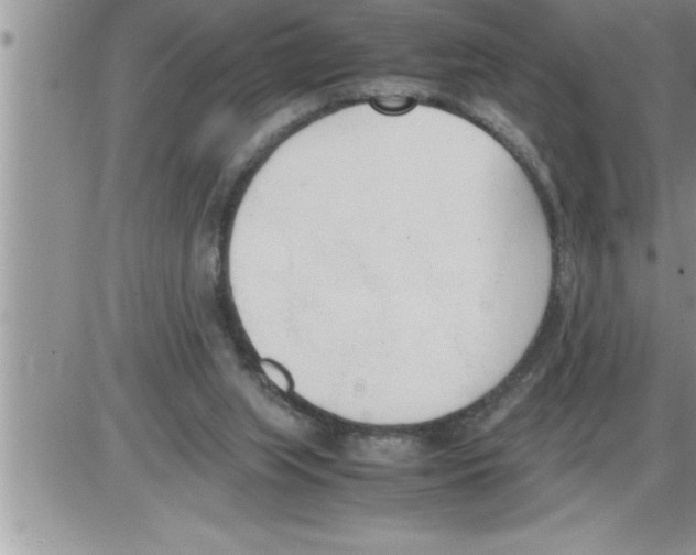 X0000086330063200704271952