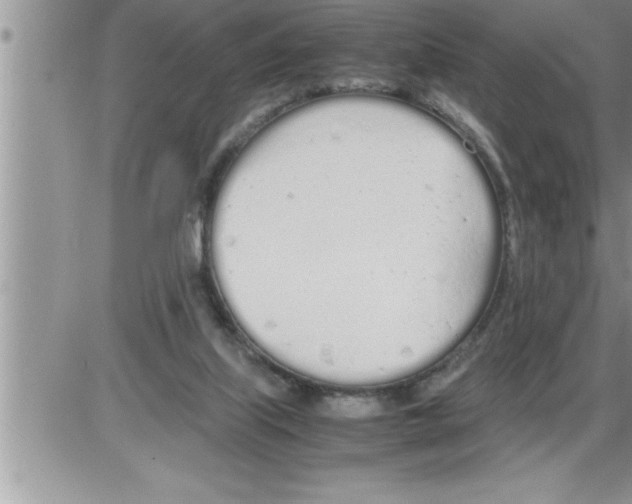 X0000086330067200704271952