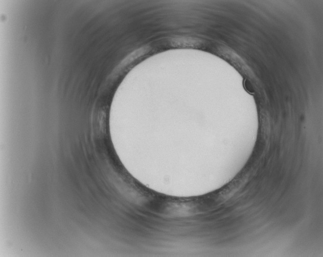 X0000086330071200704271953