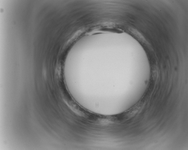 X0000086330072200704271953