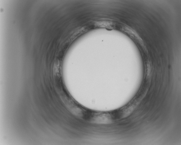 X0000086330073200704271953