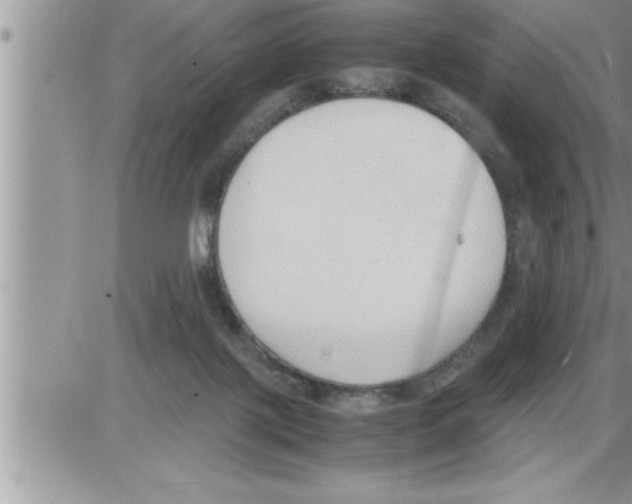 X0000086330075200704271953