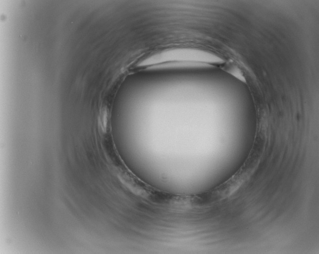 X0000086330076200704271953