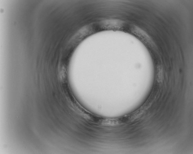 X0000086330077200704271953