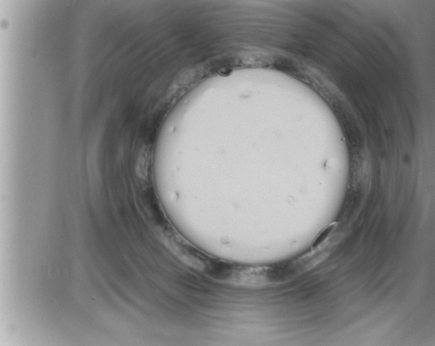 X0000086330078200704271953