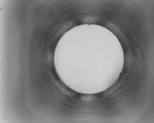 X0000086330079200704271953