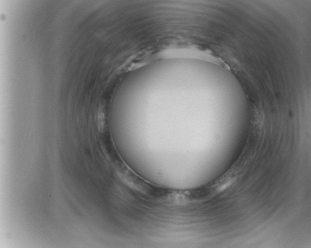 X0000086330080200704271953