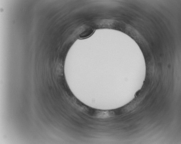 X0000086330083200704271953