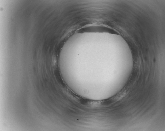 X0000086330084200704271953