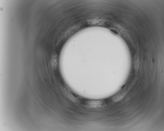 X0000086330085200704271953