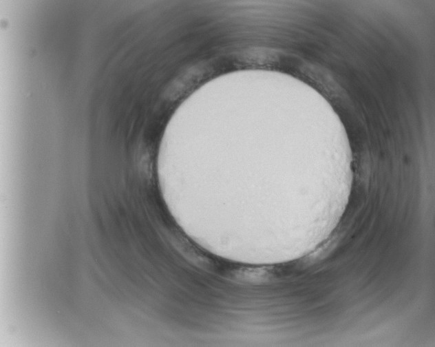 X0000086330086200704271953