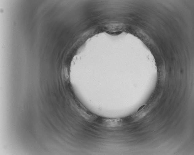 X0000086330089200704271953