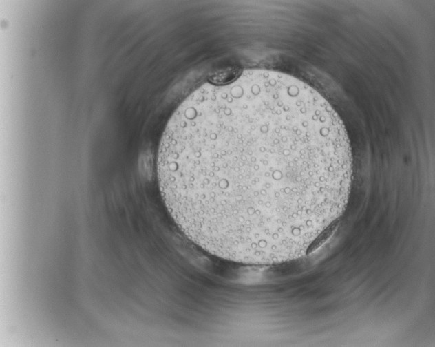 X0000086330090200704271953