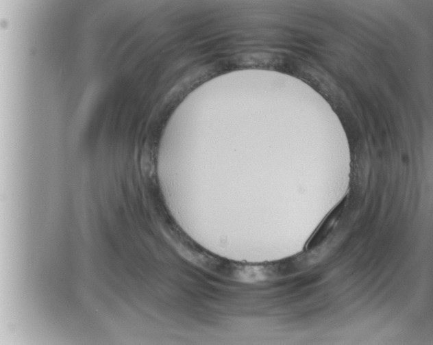 X0000086330091200704271953