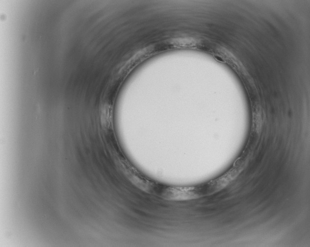 X0000086330093200704271953