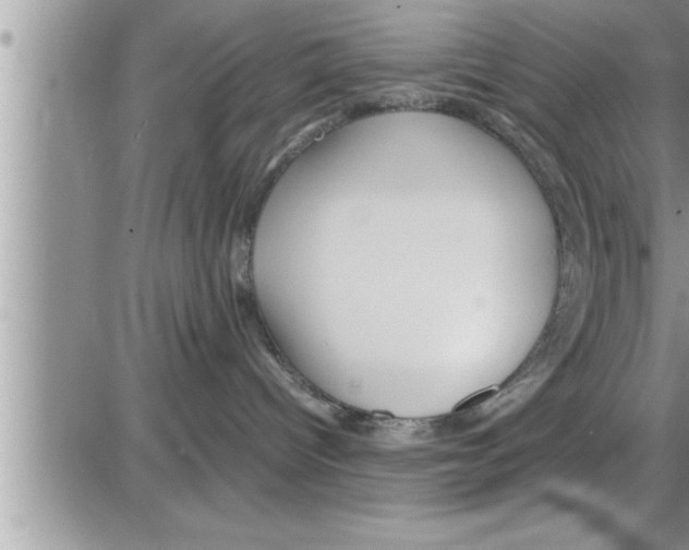 X0000086330096200704271953