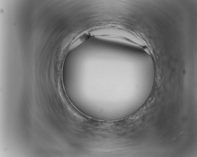 X0000086330097200704271952