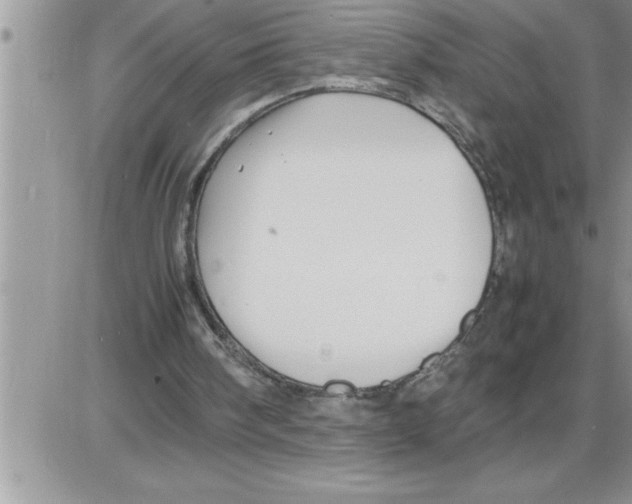 X0000086330098200704271952