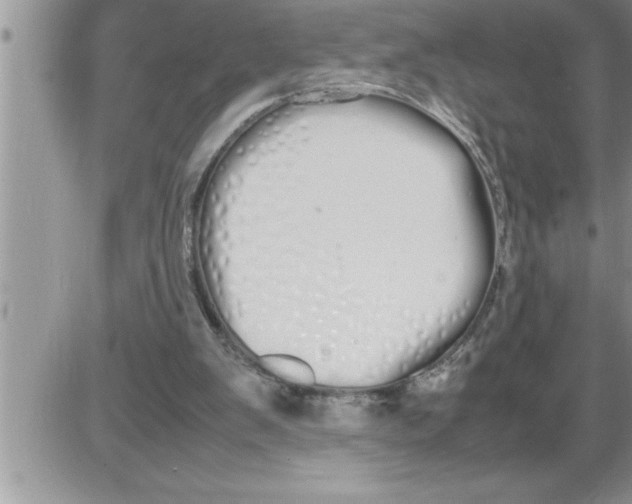 X0000086330103200704271952