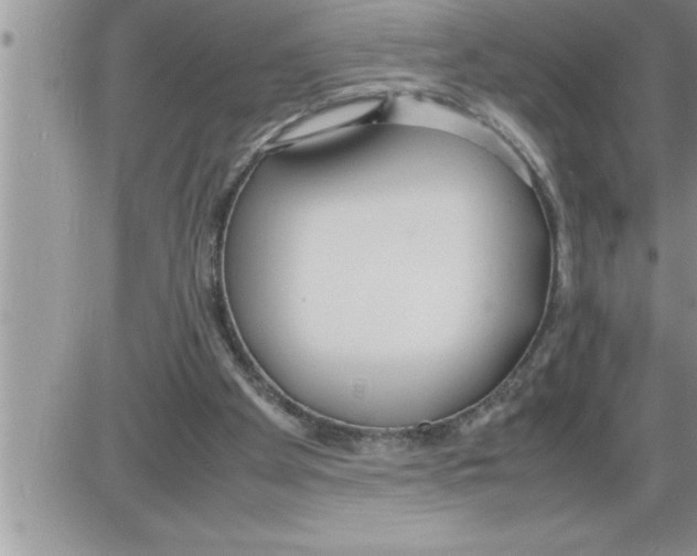 X0000086330105200704271952