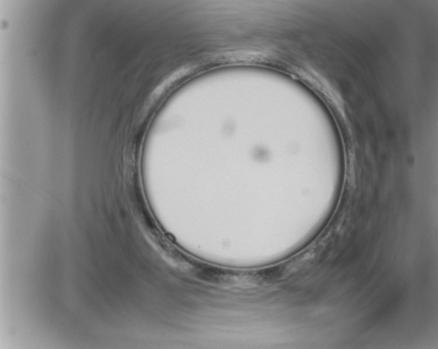 X0000086330107200704271952