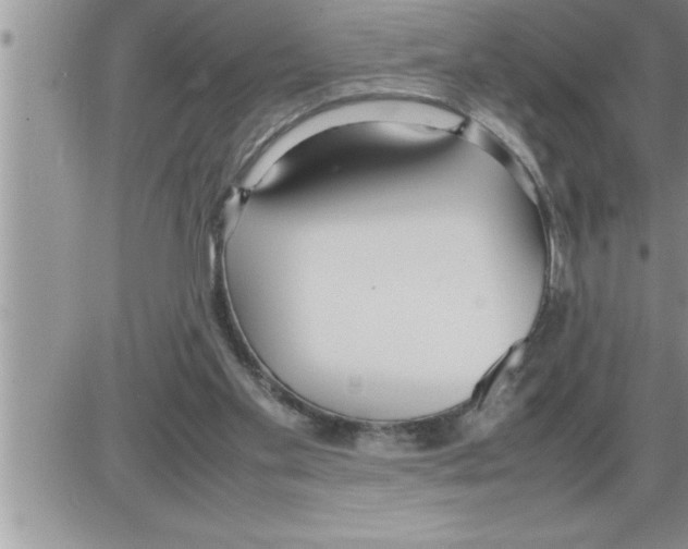 X0000086330109200704271952