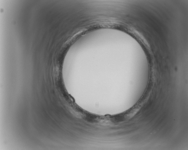 X0000086330113200704271952