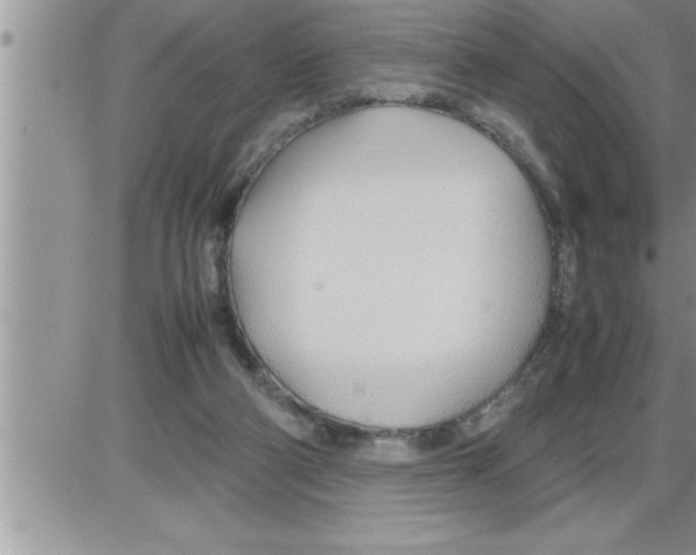 X0000086330114200704271952