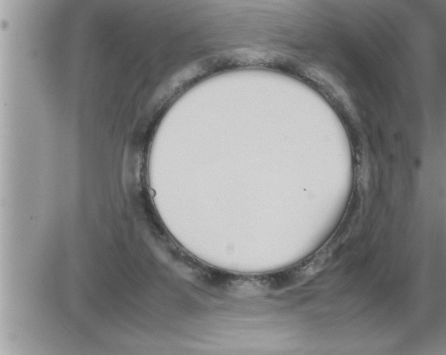 X0000086330115200704271952