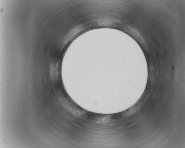 X0000086330116200704271952