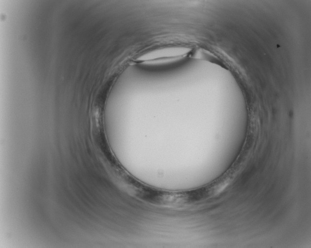 X0000086330117200704271952