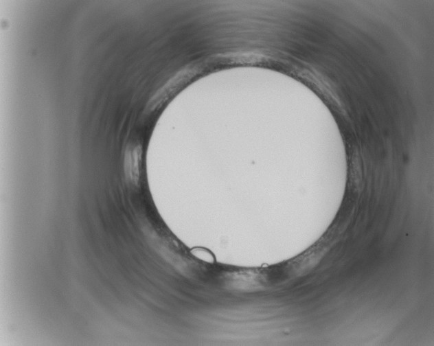 X0000086330118200704271952