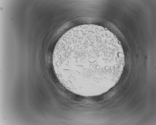 X0000086330119200704271952