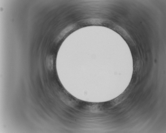 X0000086330120200704271952