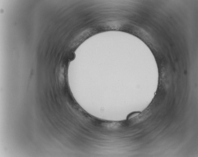 X0000086330122200704271952