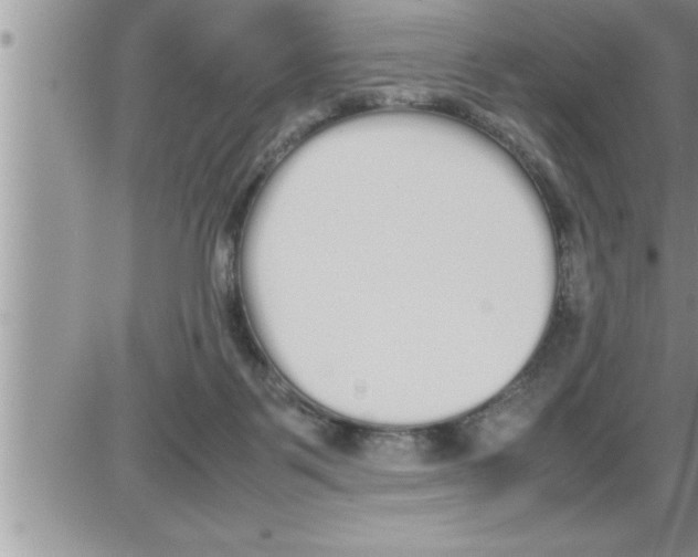 X0000086330123200704271952