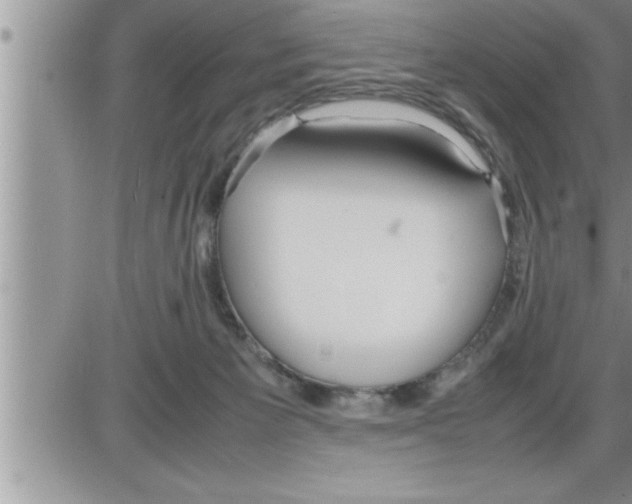 X0000086330125200704271952