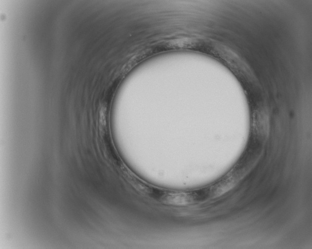 X0000086330127200704271952