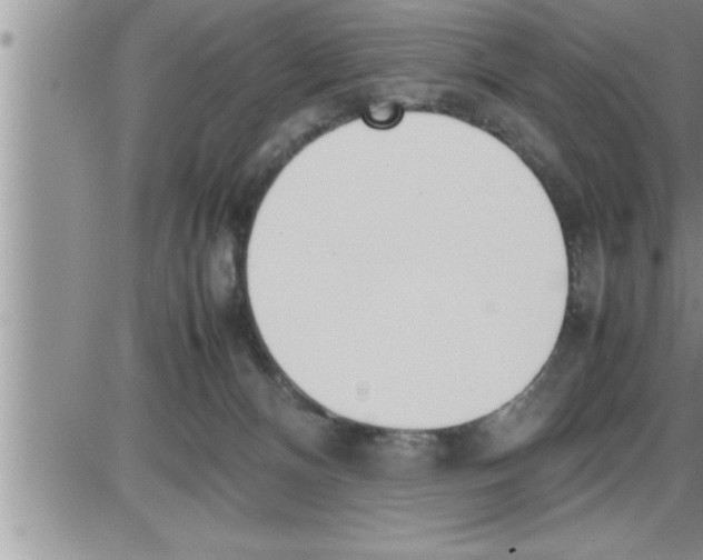 X0000086330128200704271952