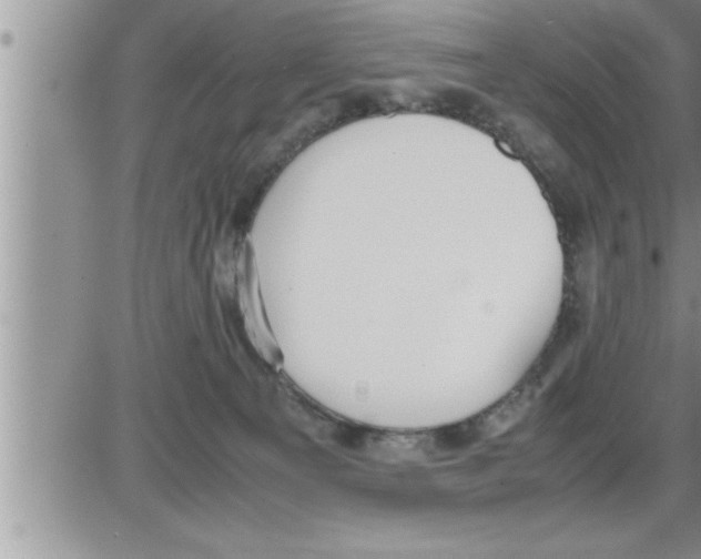 X0000086330129200704271952