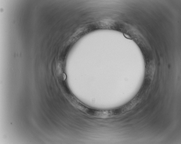 X0000086330131200704271952