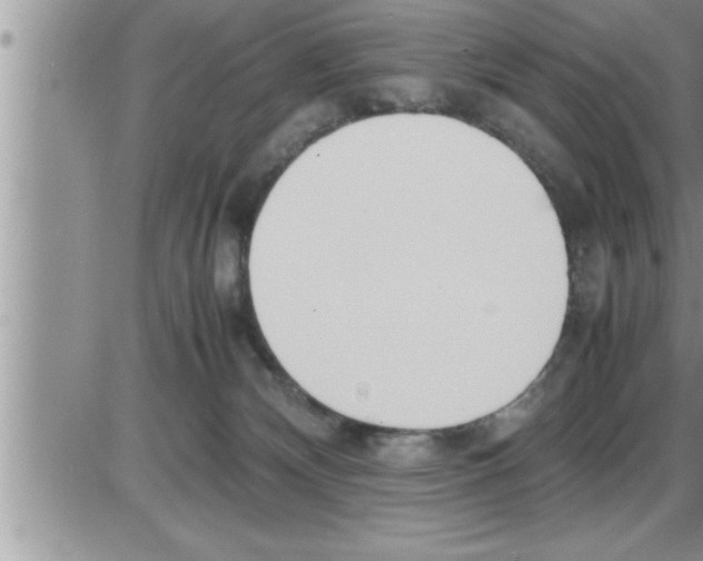 X0000086330132200704271952