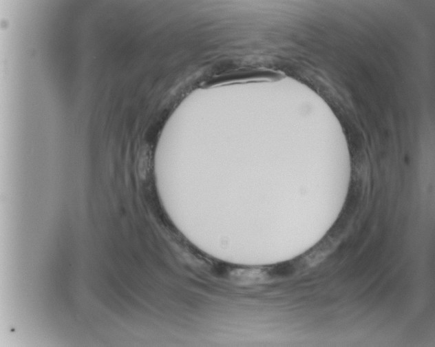 X0000086330133200704271952