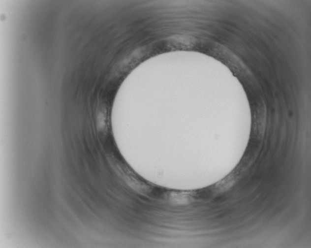 X0000086330134200704271952