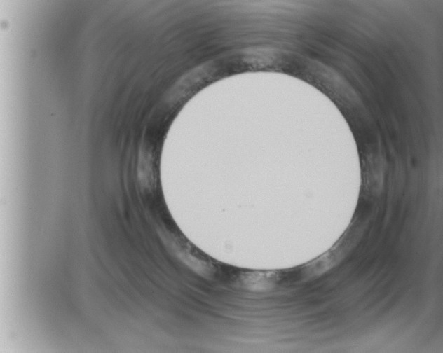 X0000086330136200704271952