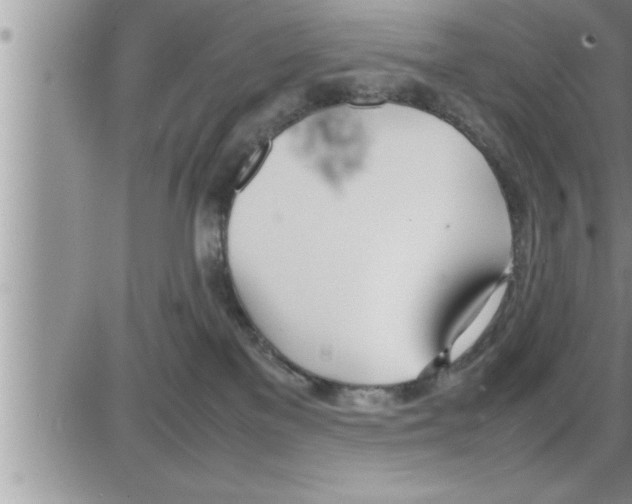 X0000086330137200704271951