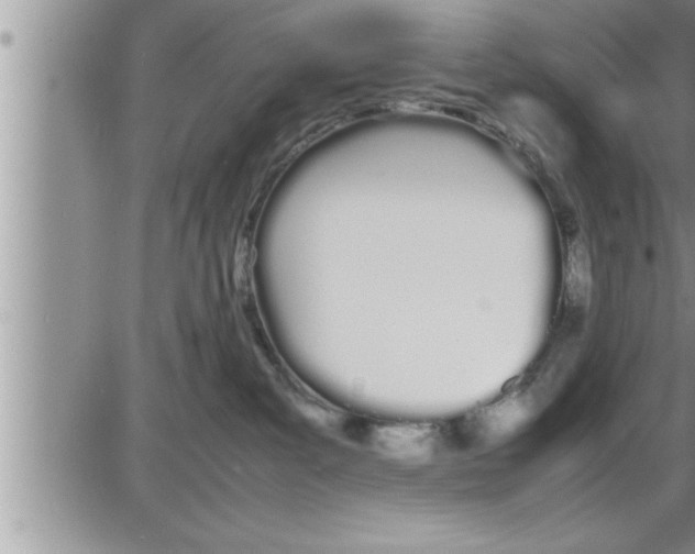 X0000086330139200704271951