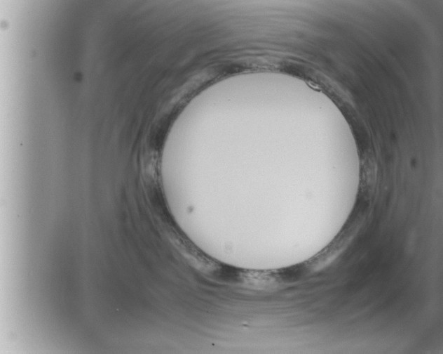 X0000086330141200704271951