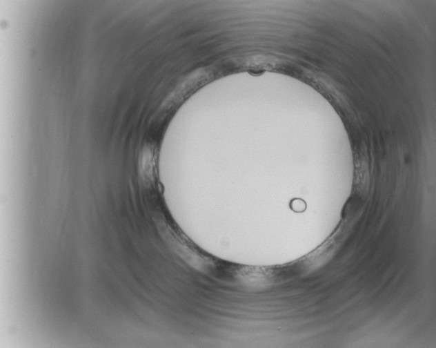 X0000086330142200704271951