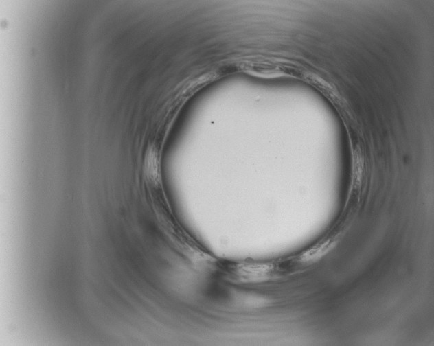 X0000086330143200704271951